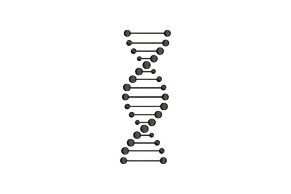 DNA: The Whimsical Star of My Craft Fair Booth
